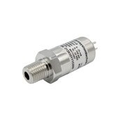 1/4 inch NPT